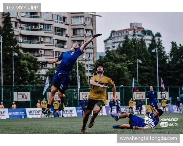 上海飞盘队的团队协作探索与飞盘运动的魅力结合