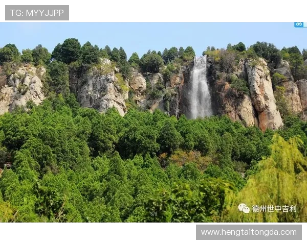 深圳极限运动队比赛经验深度对比与启示分析