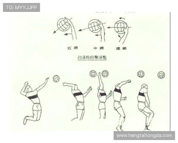 聚焦排球：探讨深圳排球队员个人能力提升与团队协作的关系