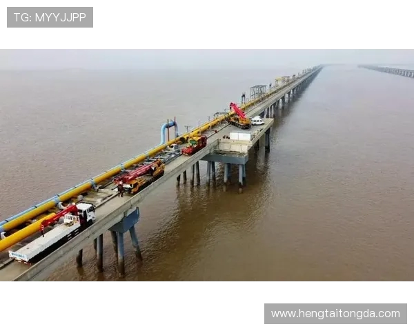 以上海海港为核心推动全球航运枢纽建设加速发展展望未来国际物流格局变革